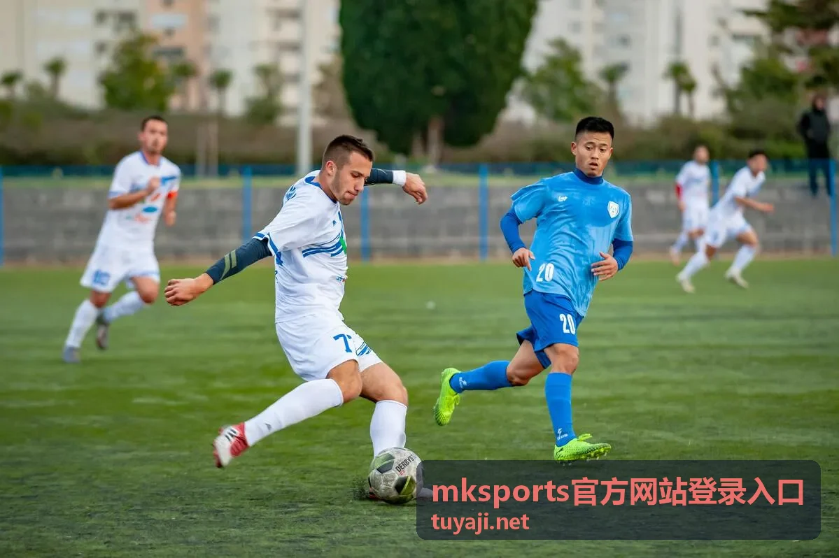 mksports官方网站登录入口 登录流程界面示意